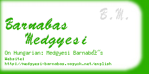 barnabas medgyesi business card